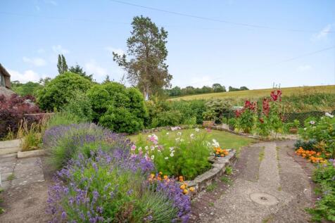 Garden (Large).jpg