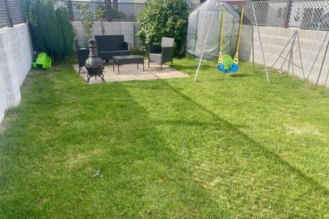 IMG_5990.jpg
