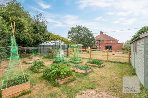 Vegetable Plot