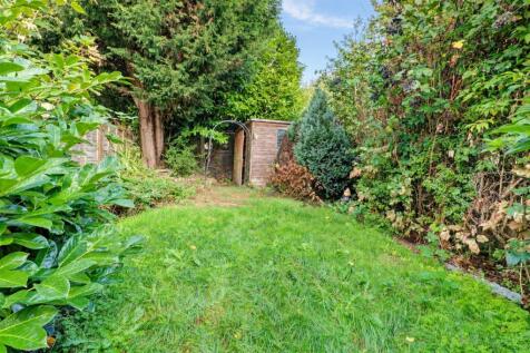 Garden(20261019-145231).jpg