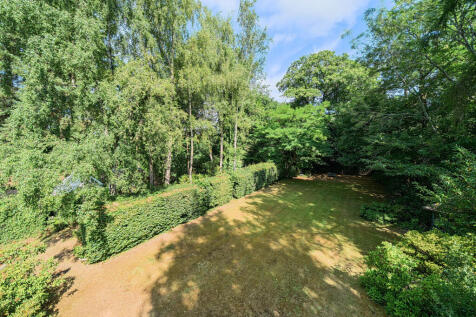 1318671-7-687a6dc...