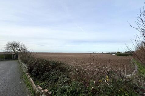 Field Views