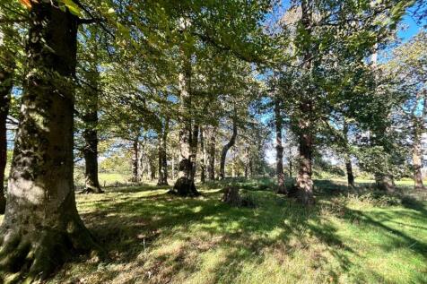 Photo 08-10-2025, 14 31 12.jpg