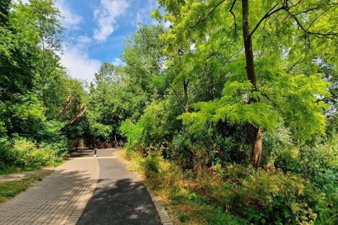 Woodland