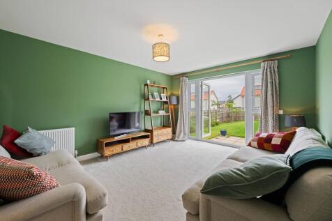 MFL6258363_470.jpg