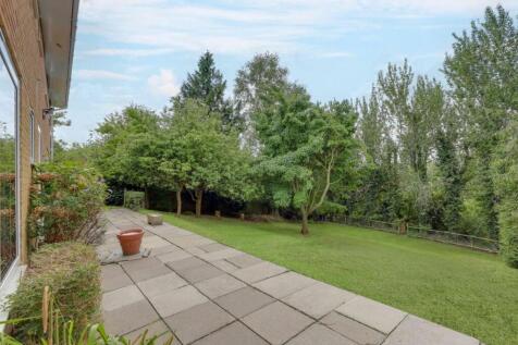 IMG_6971-IMG_6975 copy.jpeg