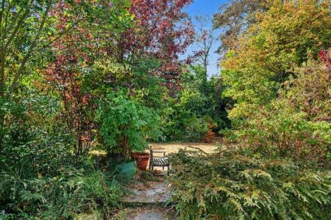 Property Image 13