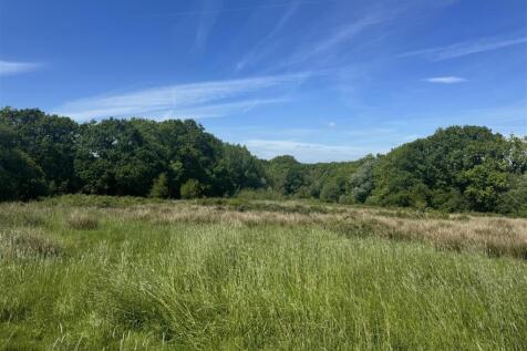 IMG_6191.jpeg