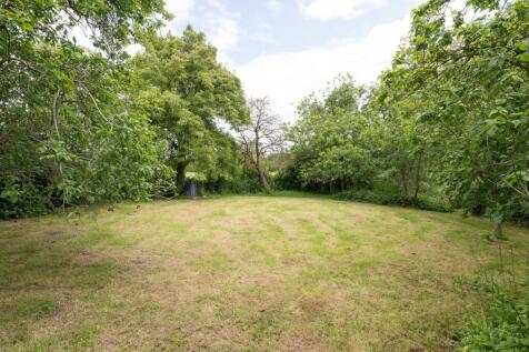 Back Garden (Upper Level)