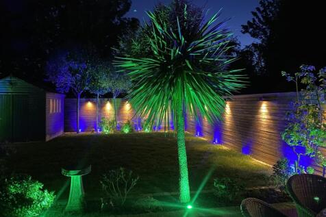 Garden at Night