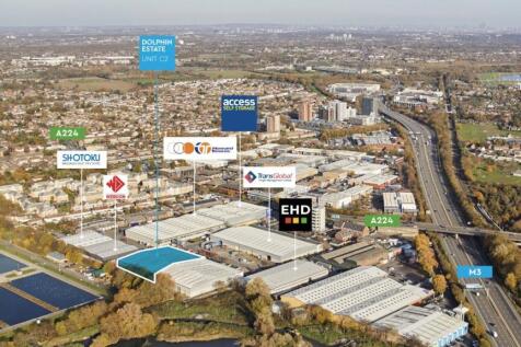 Dolphin Aerial Shot .jpg