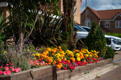 Front Flower Border