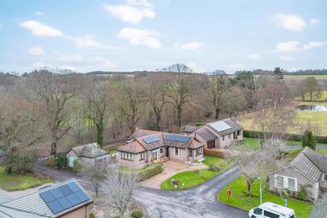 DJI_0099.jpg