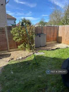 Back Garden