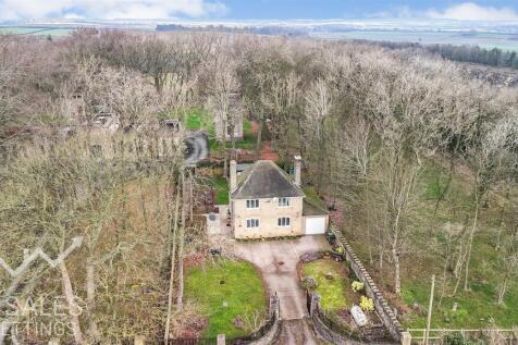 dji_fly_20260225_100348_0382_1772013994985_photo.j