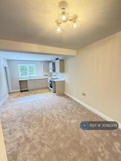 Kitchen/Dining/Living Area