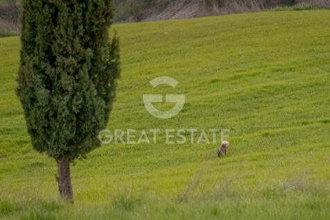 Panorama e Particolari