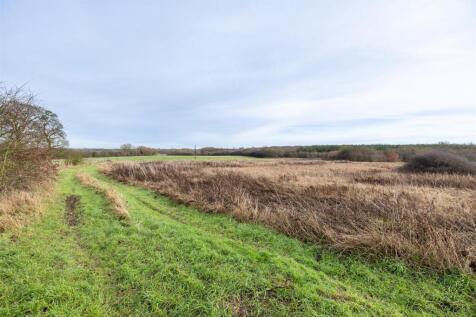 Woodland North of Swepstone Rd