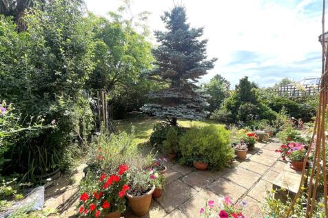 31 Dane Park Rear Garden 4.jpg