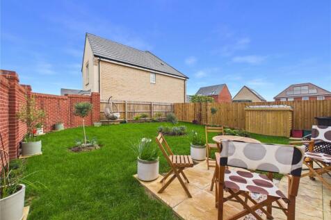 Picture 17