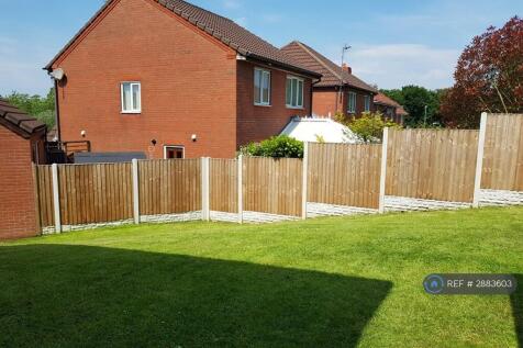 Back Garden 