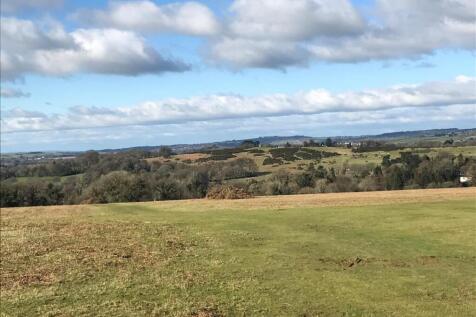View toward Whitchurch Down.jpg