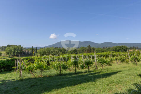 Panorama e Particolari