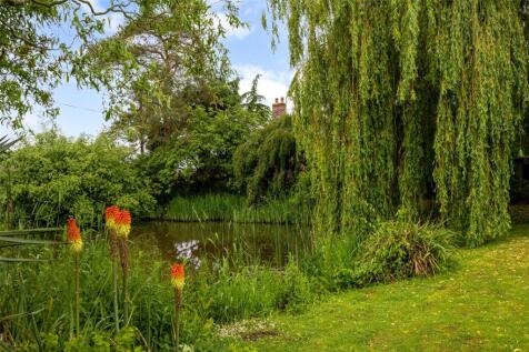 Pond