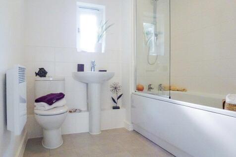 Picture 7