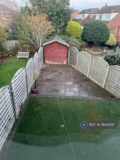 Back Garden