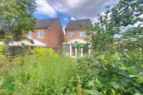 Rear Elevation an...