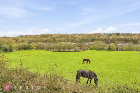 Countryside Views
