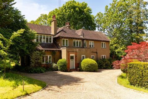 Property Image 39