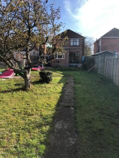Back Garden