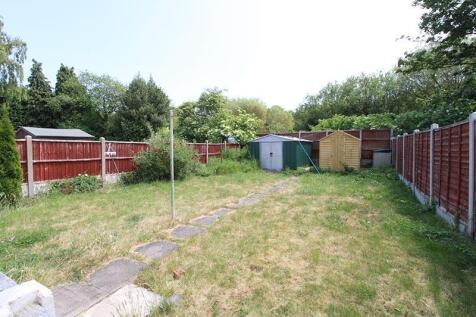 garden 2.jpg