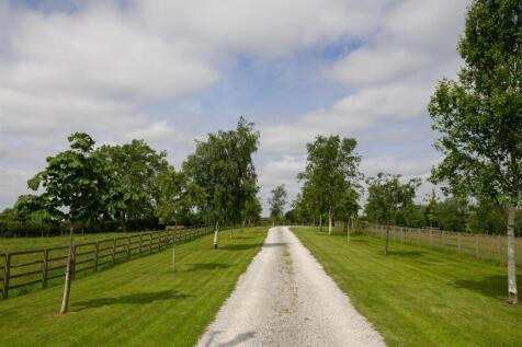 Tree-lined Drive