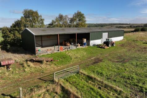 Pine Meadows Walesby 101024 (40).JPG