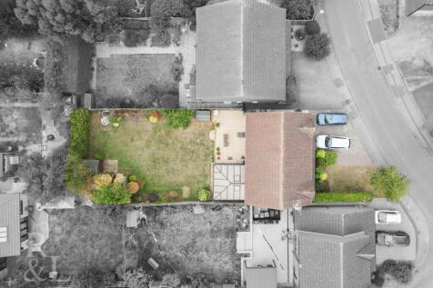 DJI_0181.jpg