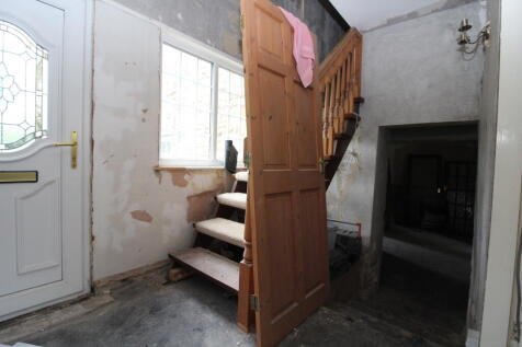 IMG 9215 T202606051214.jpg