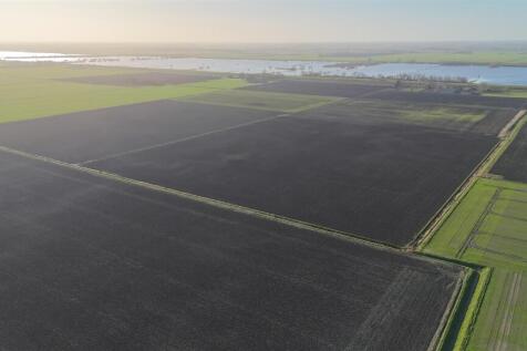 DJI_20260317161340_0208_D.JPG