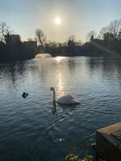Clissold Park