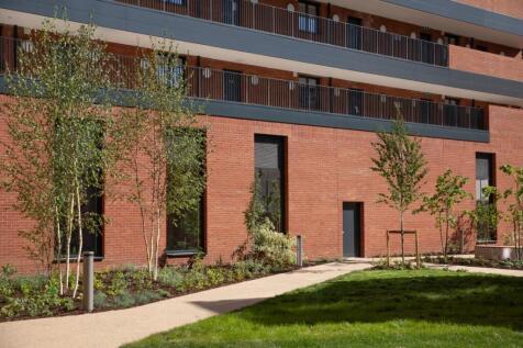 Communal garden 2