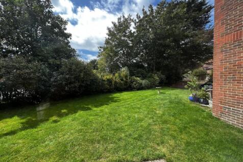 IMG_3718.JPG