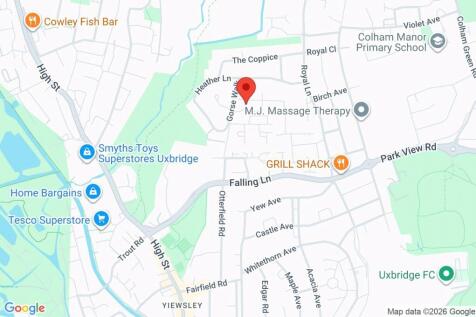 Google Maps Image