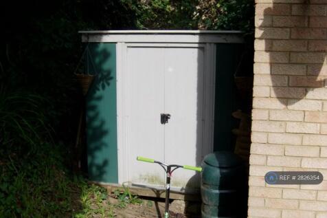 Shed Storage Area