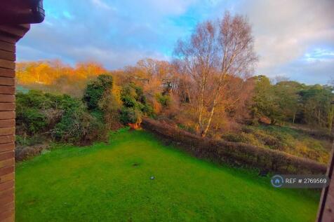 Beautiful View Towards Mousehold