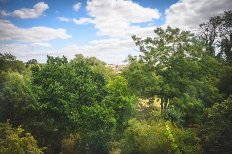 Views From 2nd Floor
