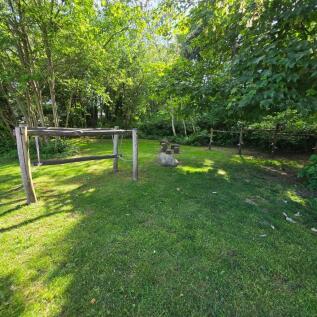 16 Sommerville wooded area.jpg