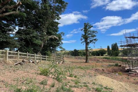 view across plot