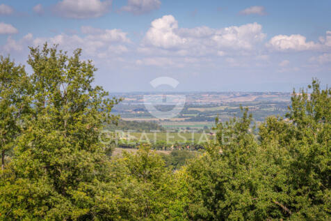 Panorama e Particolari